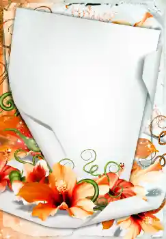 Foto-effetti della categoria Cornici da donna № 68450