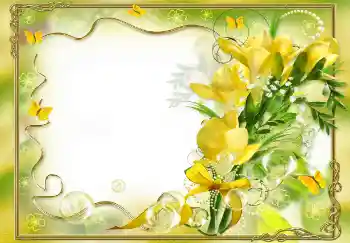 Foto-effetti della categoria Cornici da donna № 68458