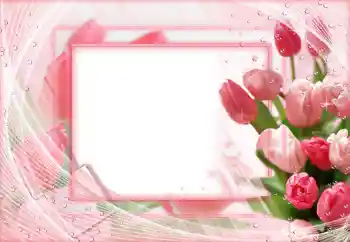 Foto-effetti della categoria Cornici da donna № 68546