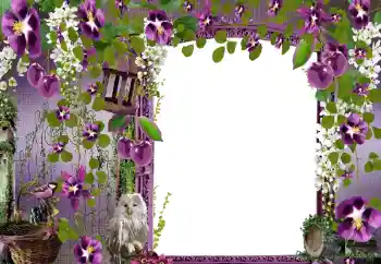 Foto-effetti della categoria Cornici da donna № 68582