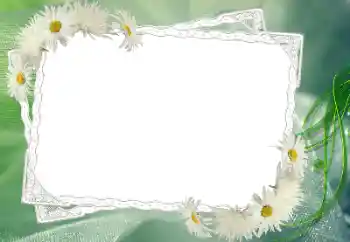 Foto-effetti della categoria Cornici da donna № 68583