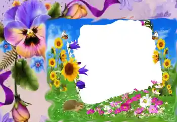 Foto-effetti della categoria Cornici da donna № 68630