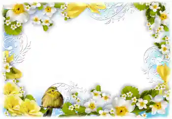 Foto-effetti della categoria Cornici da donna № 68720