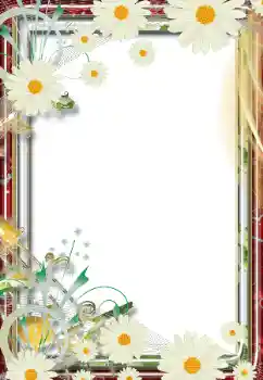 Foto-effetti della categoria Cornici da donna № 68805