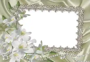 Foto-effetti della categoria Cornici da donna № 69861