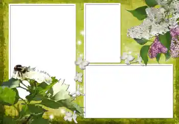 Foto-effetti della categoria Cornici da donna № 70903