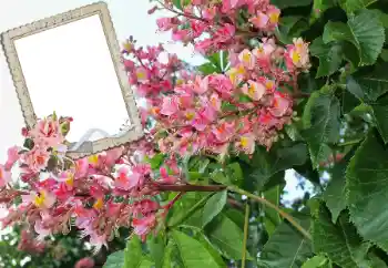 Foto-effetti della categoria Cornici da donna № 72109