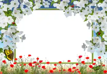 Foto-effetti della categoria Cornici da donna № 72133