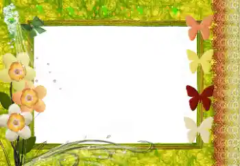 Foto-effetti della categoria Cornici da donna № 73491