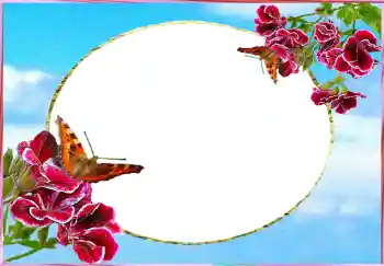 Foto-effetti della categoria Cornici da donna № 73784