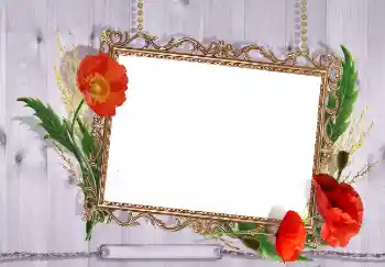 Foto-effetti della categoria Cornici da donna № 7499