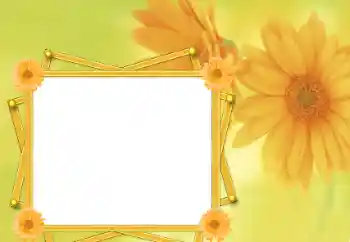 Foto-effetti della categoria Cornici da donna № 76821