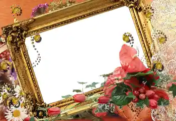 Foto-effetti della categoria Cornici da donna № 77849