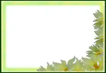 Foto-effetti della categoria Cornici da donna № 79029