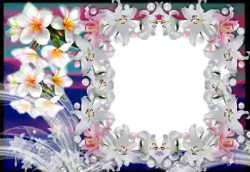 Foto-effetti della categoria Cornici da donna № 80383