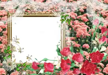 Foto-effetti della categoria Cornici da donna № 80390