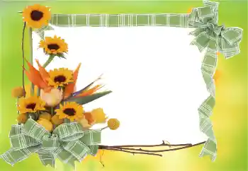 Foto-effetti della categoria Cornici da donna № 81823