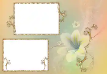 Foto-effetti della categoria Cornici da donna № 84156