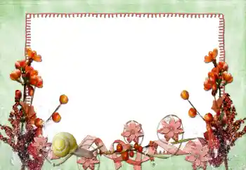 Foto-effetti della categoria Cornici da donna № 84165