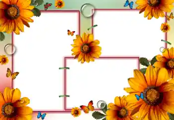 Foto-effetti della categoria Cornici da donna № 84175