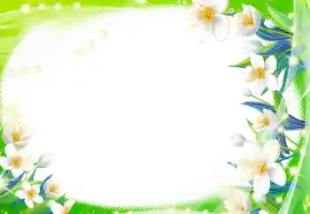Foto-effetti della categoria Cornici da donna № 8470