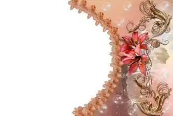 Foto-effetti della categoria Cornici da donna № 85309