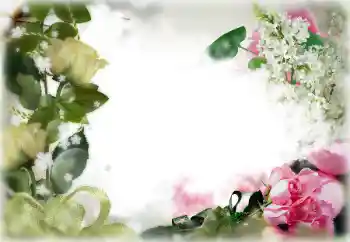 Foto-effetti della categoria Cornici da donna № 85356