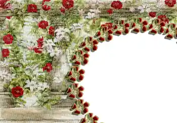 Foto-effetti della categoria Cornici da donna № 85429