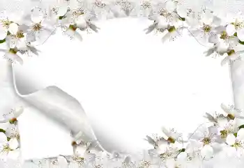 Foto-effetti della categoria Cornici da donna № 8554 Foto-effetti della categoria Cornici da donna № 8554