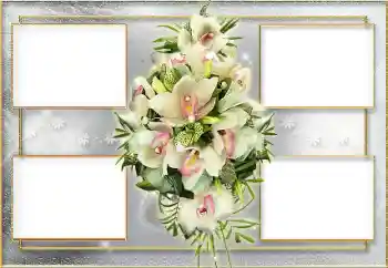 Foto-effetti della categoria Cornici da donna № 8637 Foto-effetti della categoria Cornici da donna № 8637