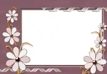 Foto-effetti della categoria Cornici da donna № 86584