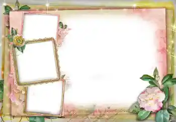 Foto-effetti della categoria Cornici da donna № 86591