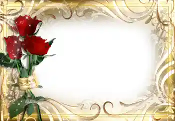 Foto-effetti della categoria Cornici da donna № 89226