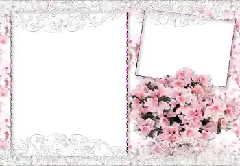 Foto-effetti della categoria Cornici da donna № 89229