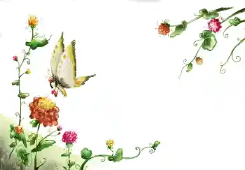 Foto-effetti della categoria Cornici da donna № 89260