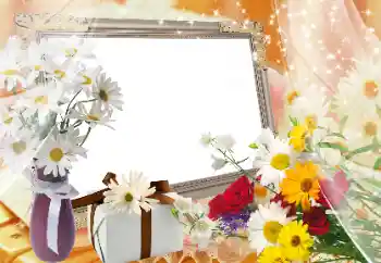 Foto-effetti della categoria Cornici da donna № 89424