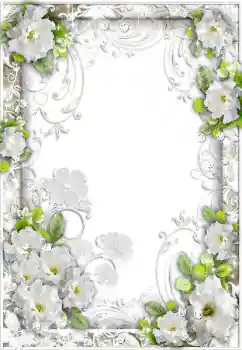 Foto-effetti della categoria Cornici da donna № 89495