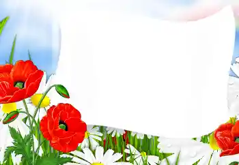 Foto-effetti della categoria Cornici da donna № 91714