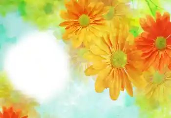 Foto-effetti della categoria Cornici da donna № 91723