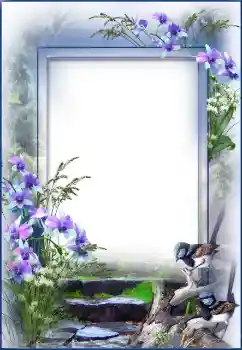 Foto-effetti della categoria Cornici da donna № 91730