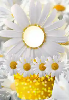 Foto-effetti della categoria Cornici da donna № 91798