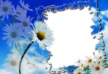 Foto-effetti della categoria Cornici da donna № 91804