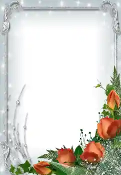 Foto-effetti della categoria Cornici da donna № 93099