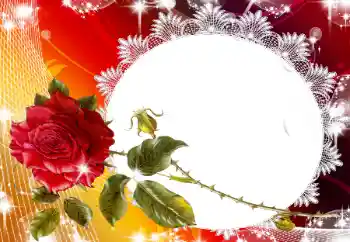 Foto-effetti della categoria Cornici da donna № 93130