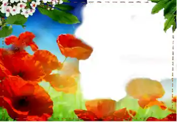 Foto-effetti della categoria Cornici da donna № 93217