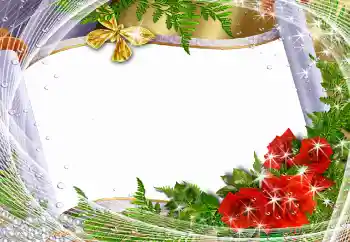 Foto-effetti della categoria Cornici da donna № 93282