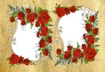 Foto-effetti della categoria Cornici da donna № 94576