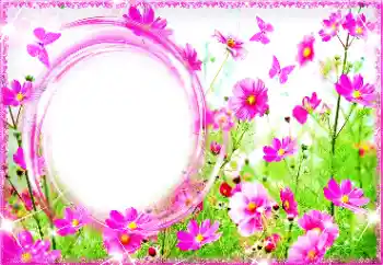 Foto-effetti della categoria Cornici da donna № 94713