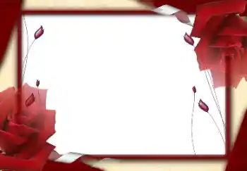 Foto-effetti della categoria Cornici da donna № 94729