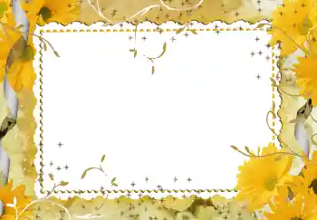 Foto-effetti della categoria Cornici da donna № 94746